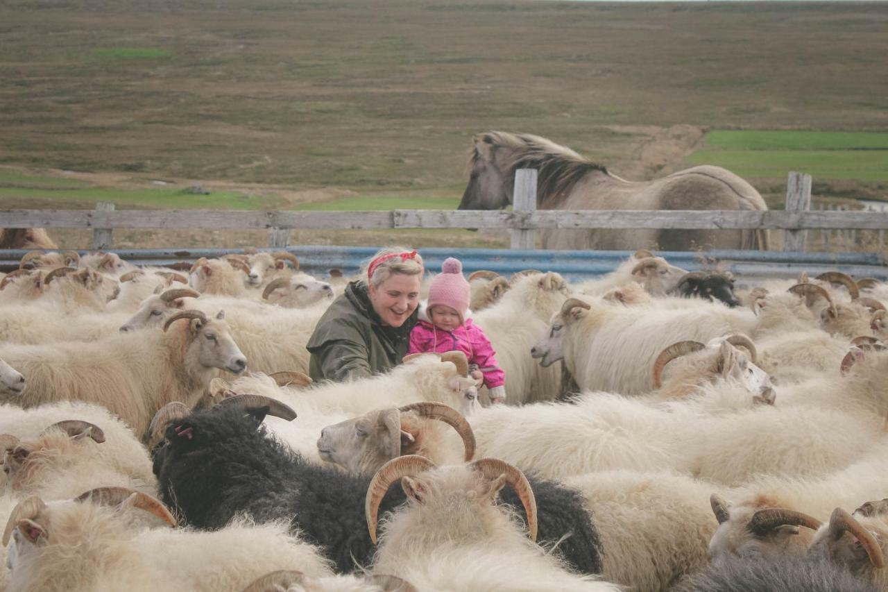 Sandur Þórshöfn Dış mekan fotoğraf