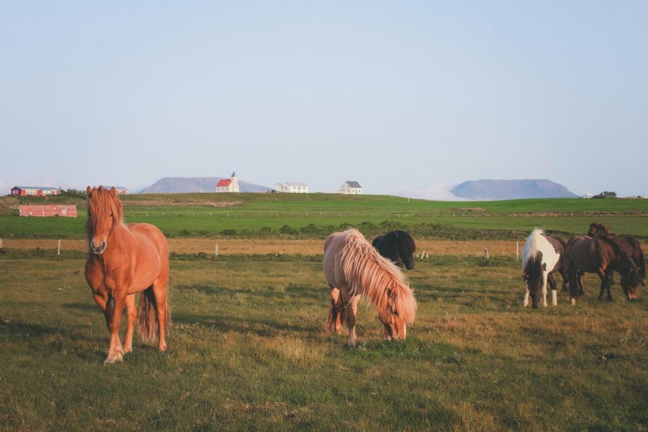 Sandur Þórshöfn Dış mekan fotoğraf